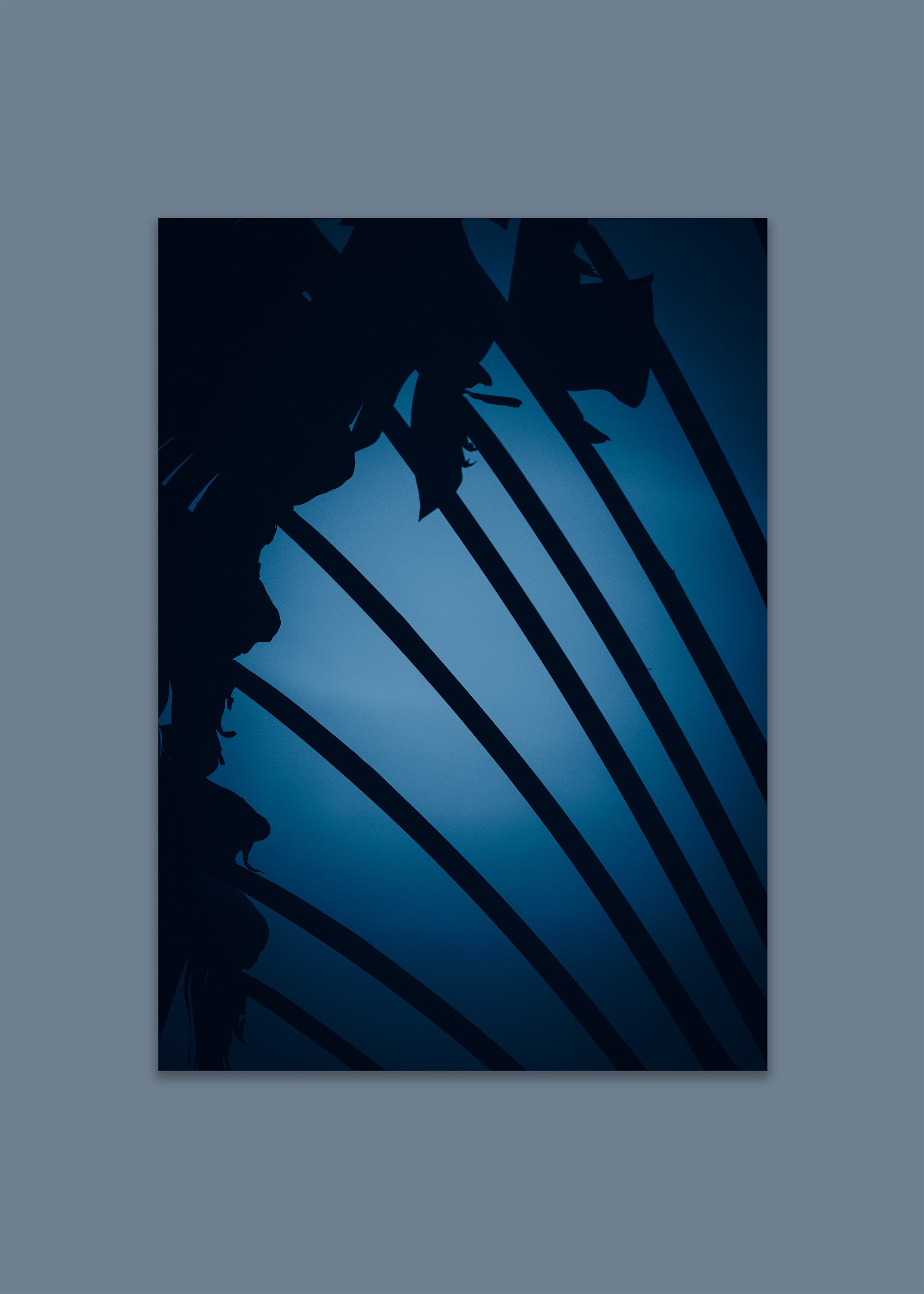 blue structural palm shadow art print – beyond bars II by skiy – costa rica 2021 – her sky visual series