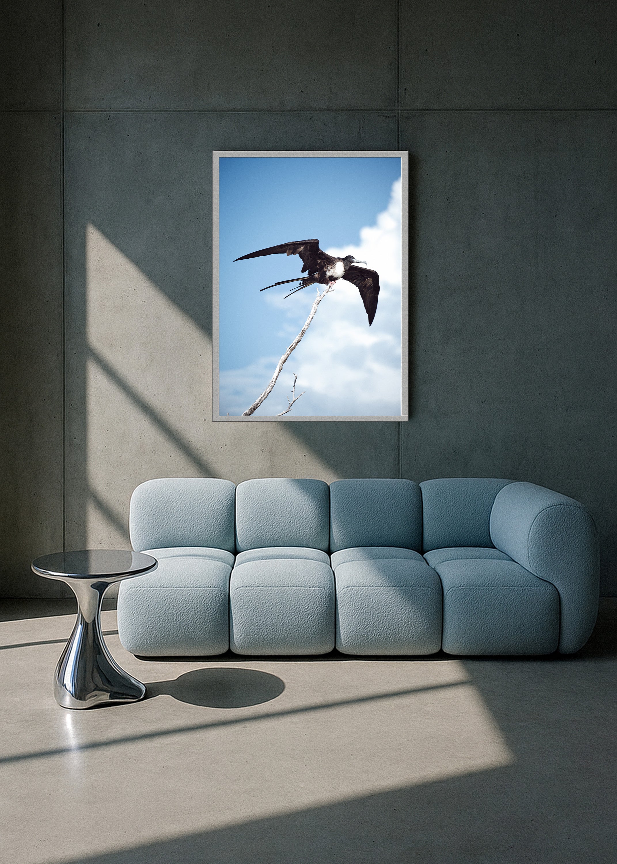 free wings II, holbox 2021