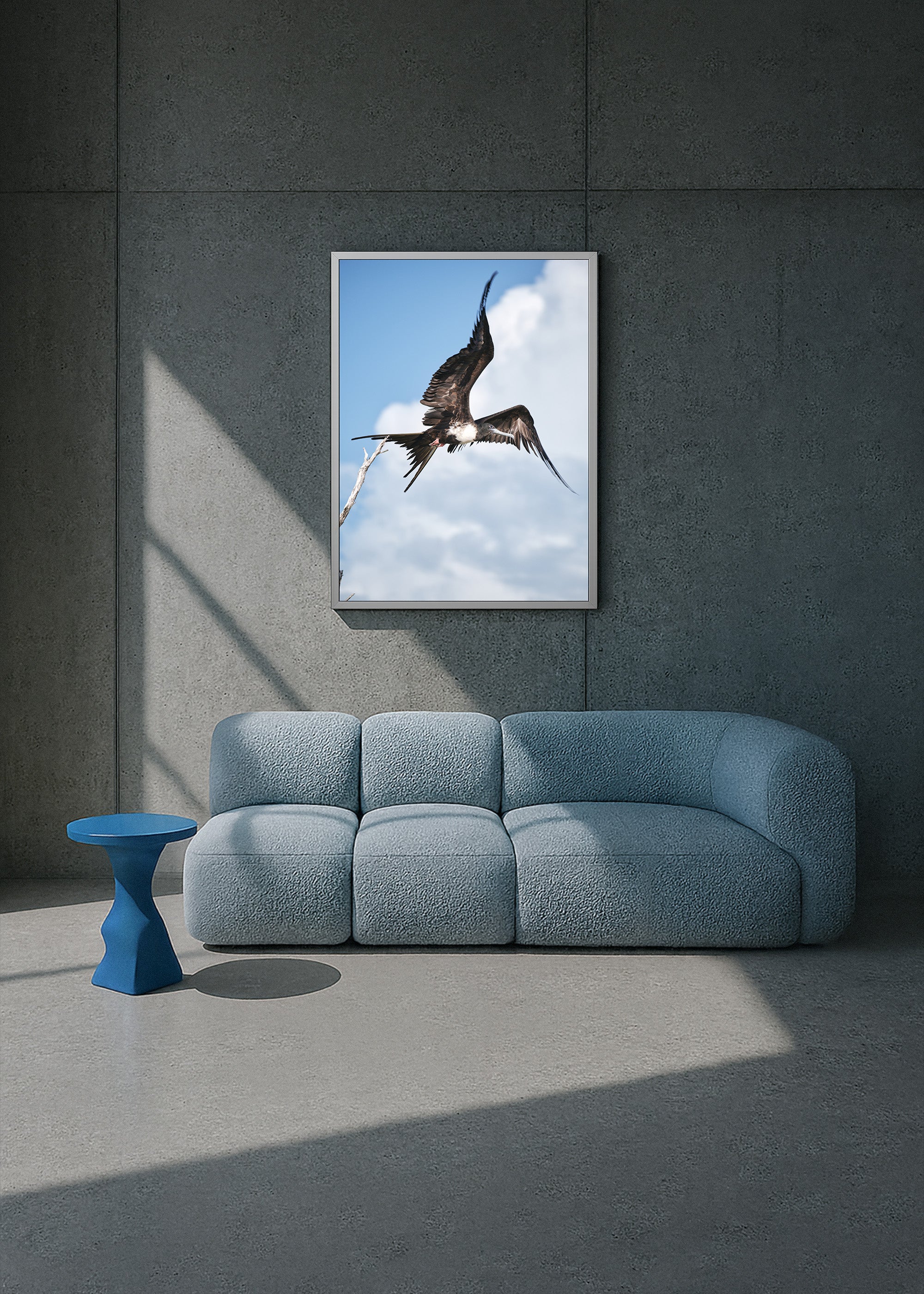 free wings, holbox 2021