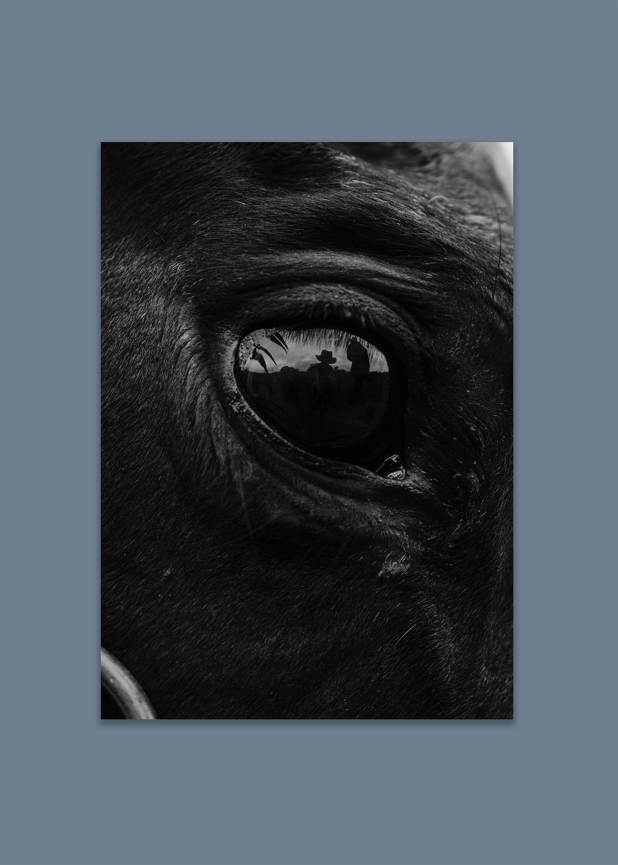 black and white horse eye close-up – inner gaze by skiy – los angeles 2024 – her sky visual series