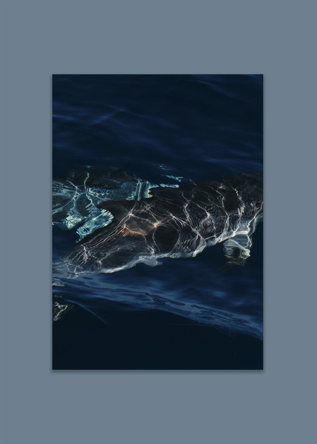 dolphin ocean art print – liquid dolphins I by skiy – azores 2022 – her sky visual series