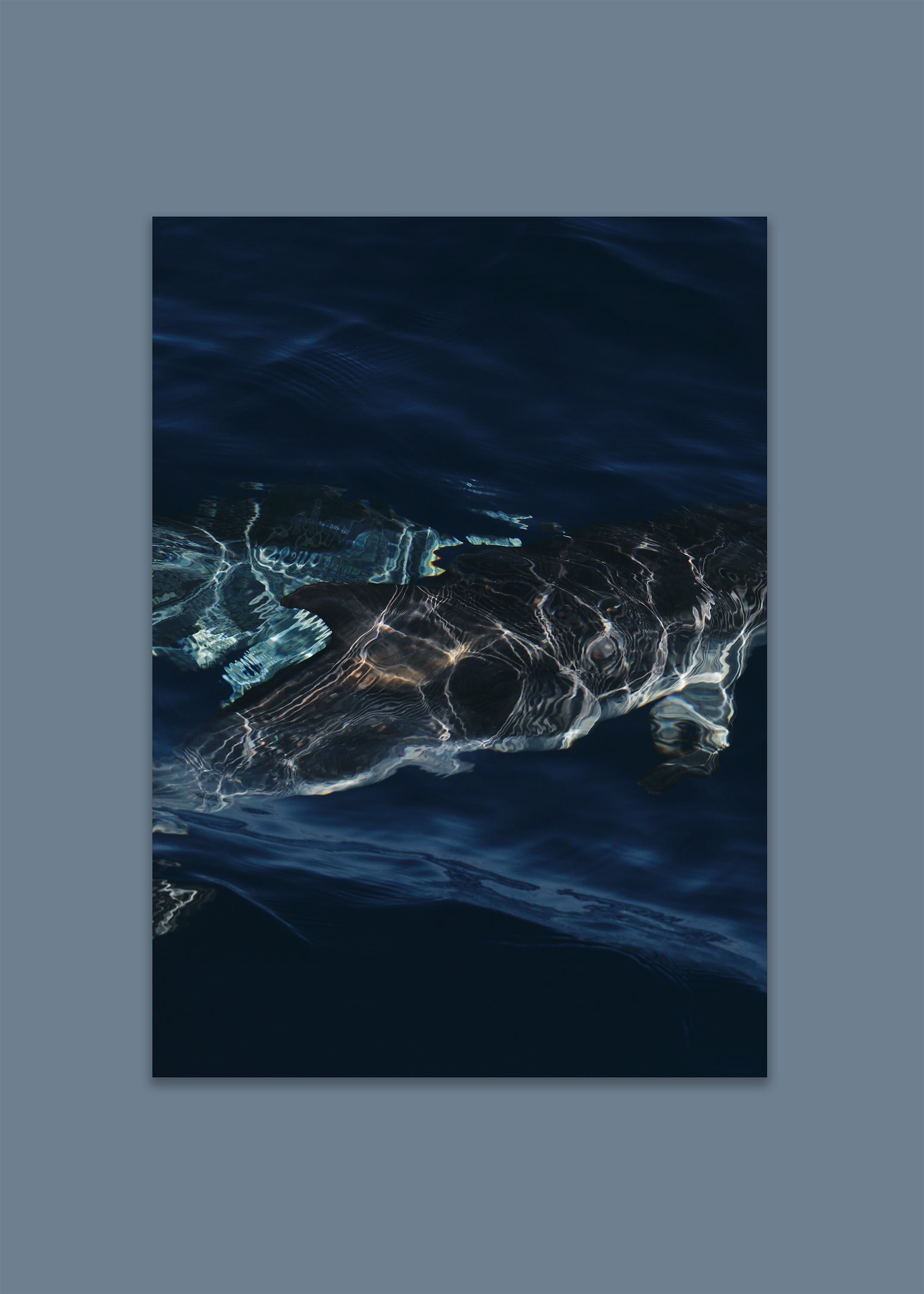 dolphin ocean art print – liquid dolphins I by skiy – azores 2022 – her sky visual series