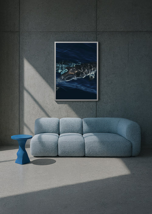 liquid dolphins I, azores 2022