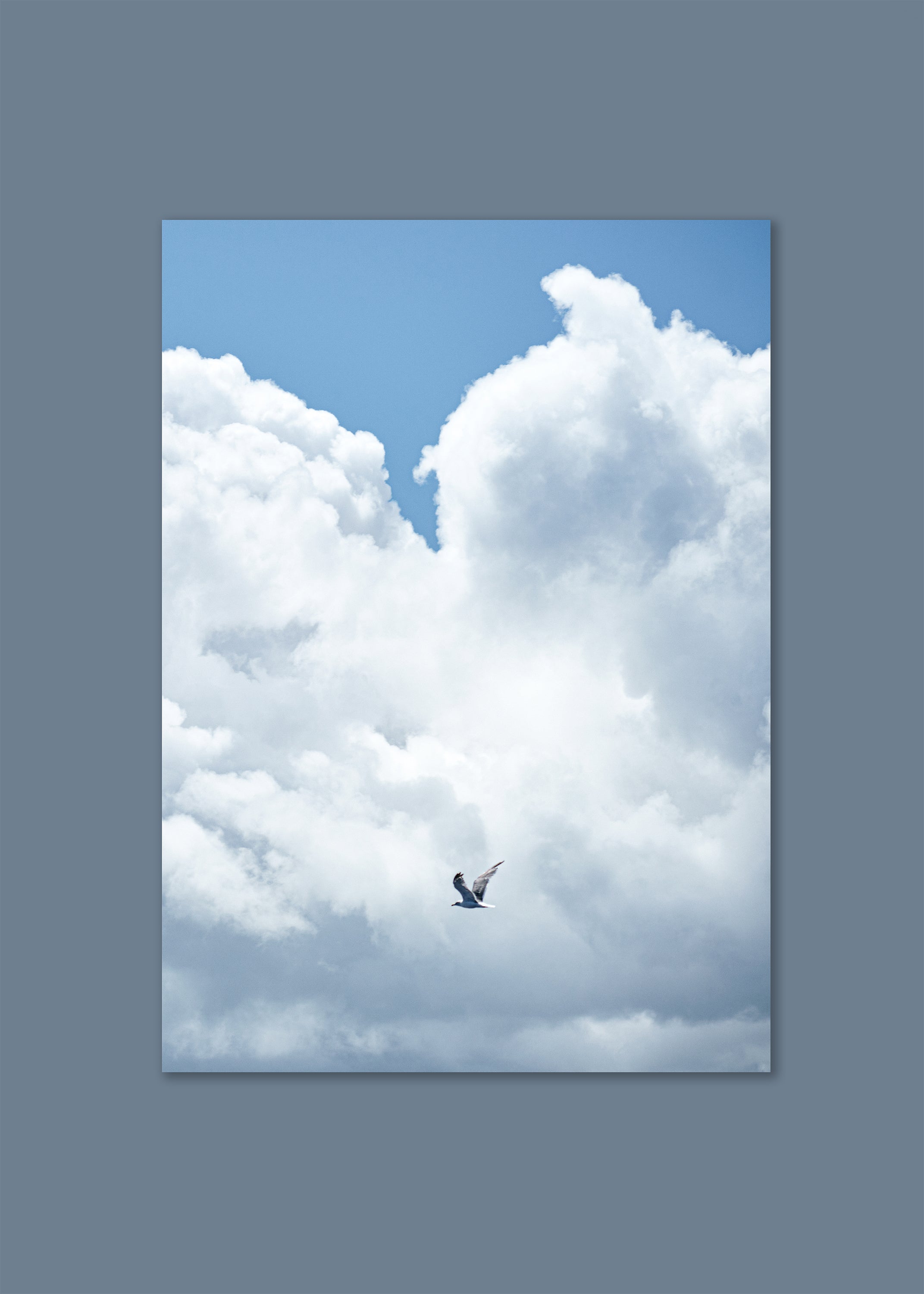 sky drift, holbox 2021