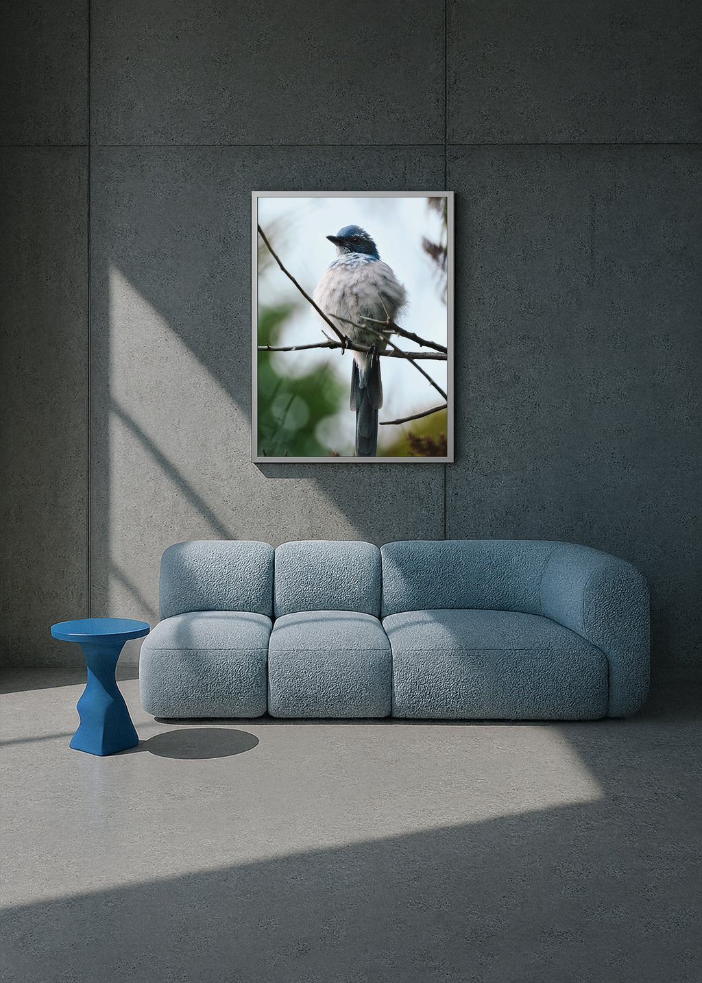 soft guard, santa barbara 2024