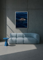 surface rise II, azores 2022