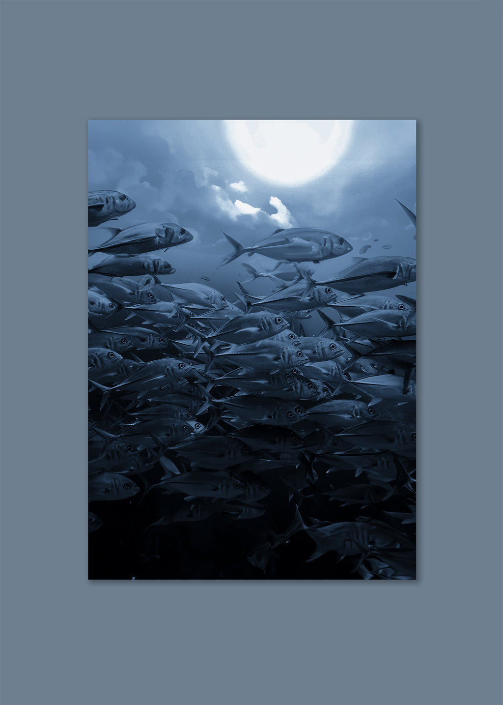 underwater moonlit fish school – the moon shoal by skiy – costa rica 2022 – her sky visual series