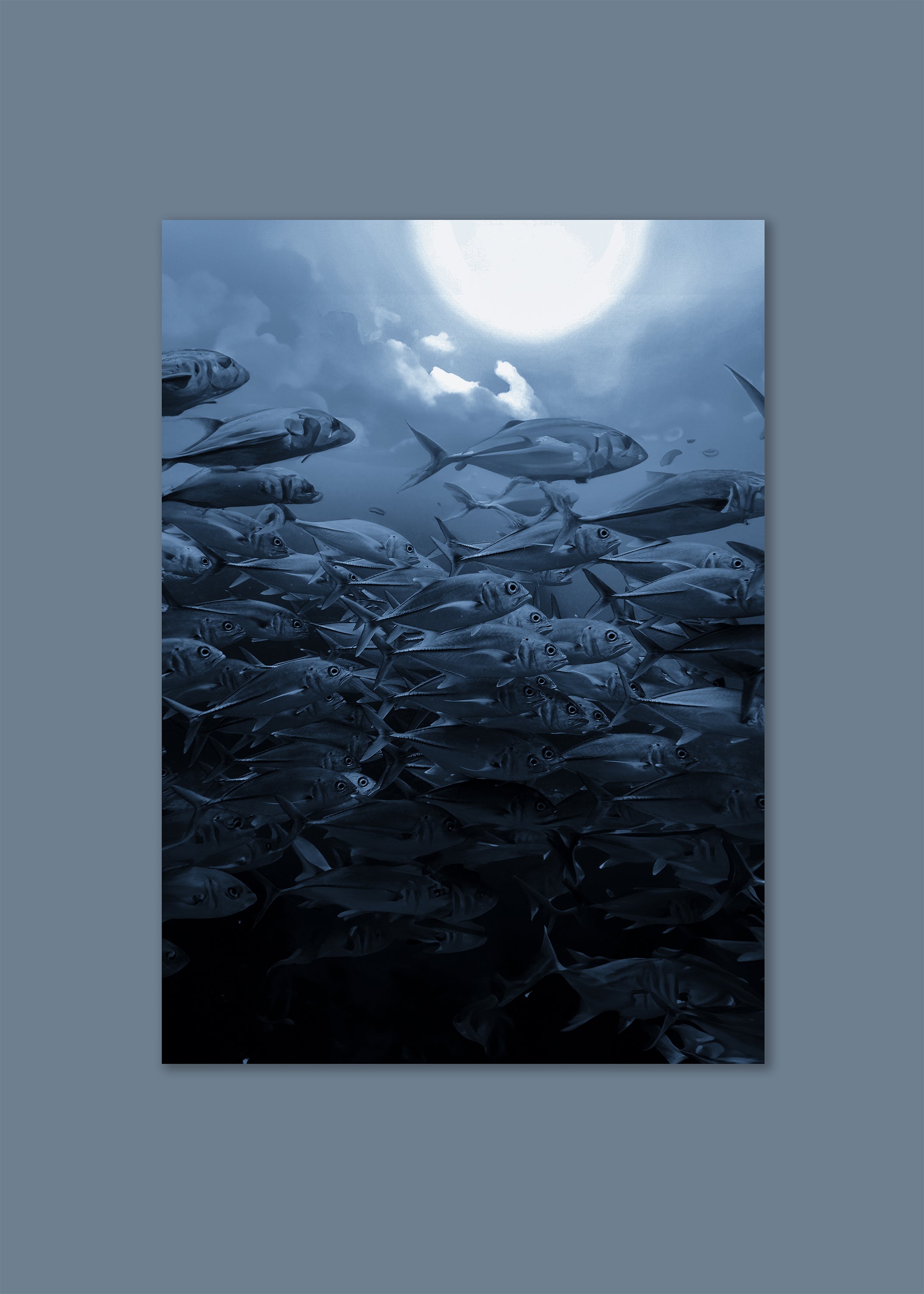 underwater moonlit fish school – the moon shoal by skiy – costa rica 2022 – her sky visual series
